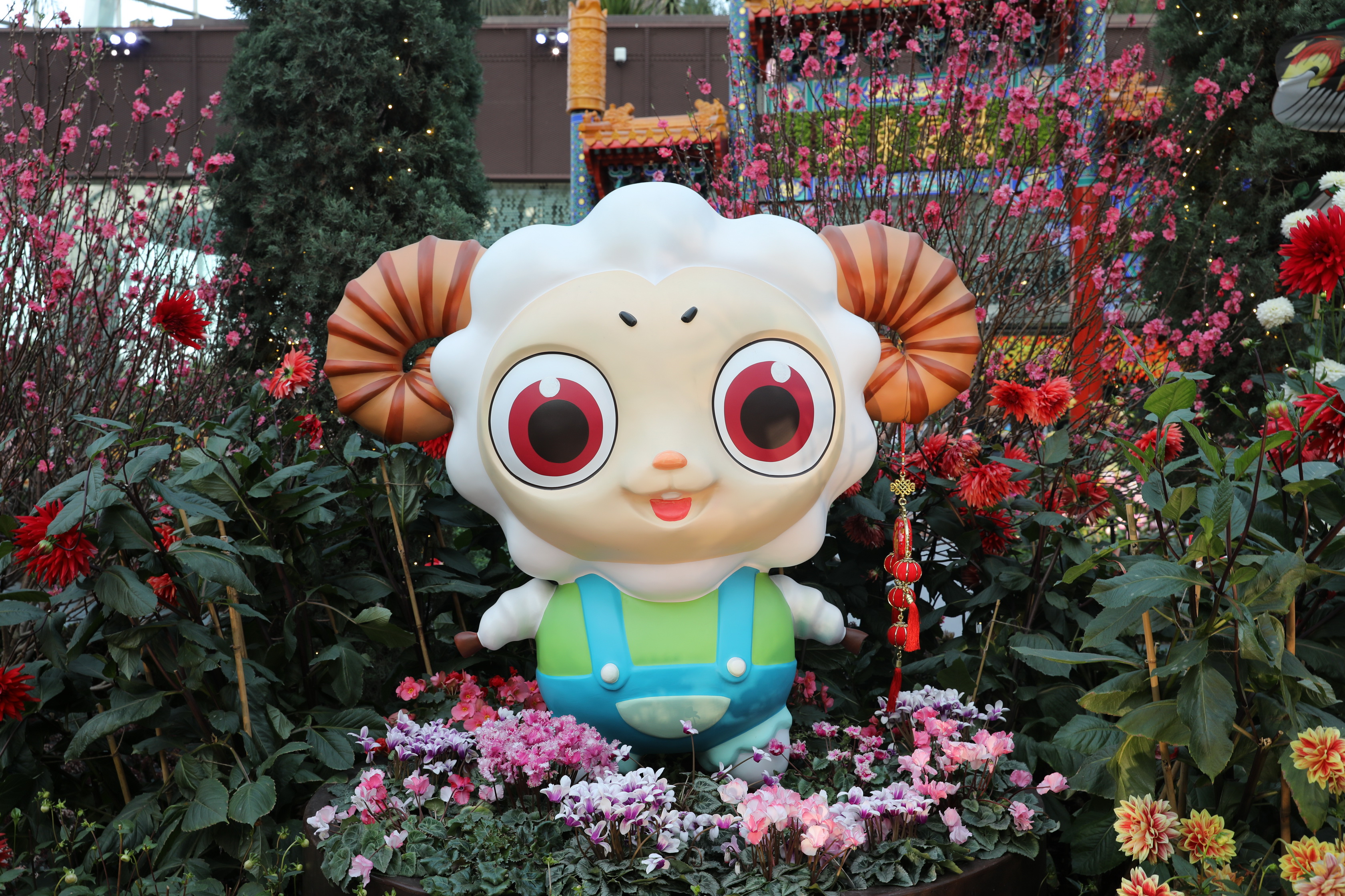 2020 02 03 18 46 45 Canon EOS 5D Mark IV 0065